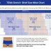 TENA® Stretch™ Ultra Incontinence Brief, Ultra Absorbency, 2X-Large - Image 3